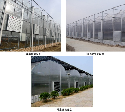 玻璃智能溫室、陽光板智能溫室、薄膜連棟溫室