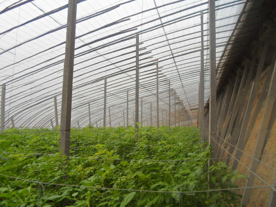 種植溫室