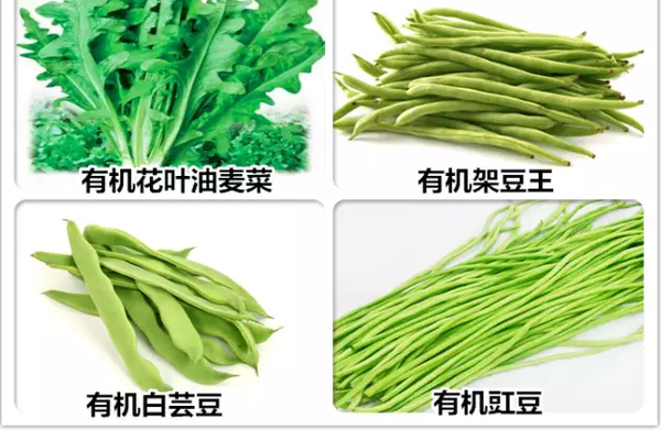 什么是有機蔬菜？